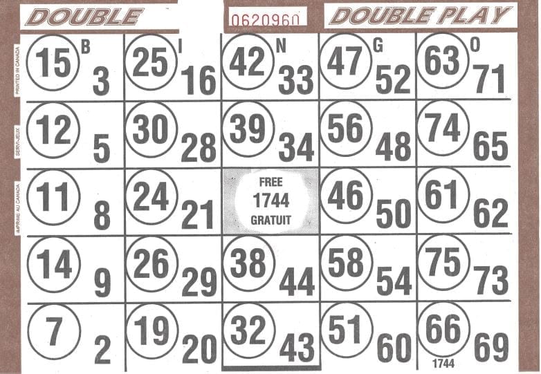 Double play bingo cards